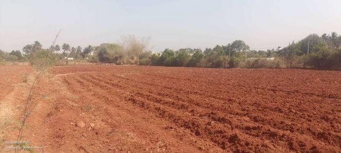 KNS Mudra - Banner Image