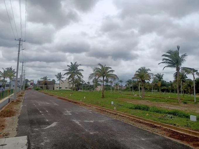 Astor Serene - Project Photo