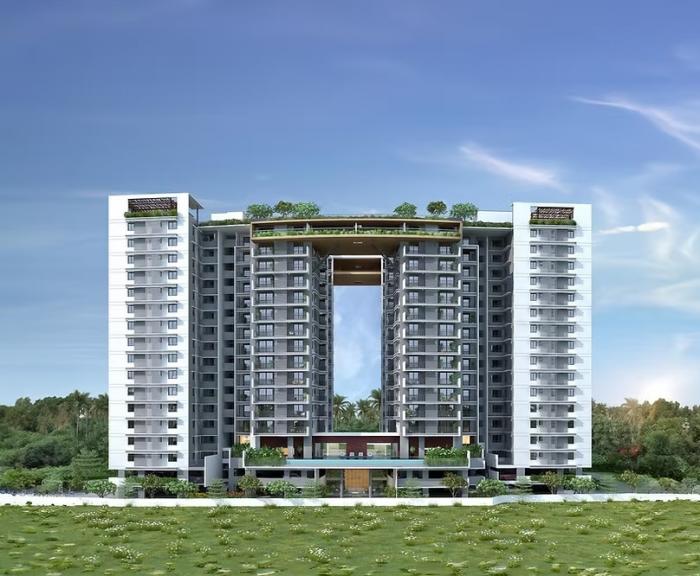 Noel Cloudwalk - Banner Image