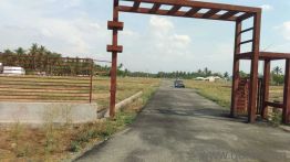 1330 Sq. ft Plot for Sale in Peryapatti, Tirupur