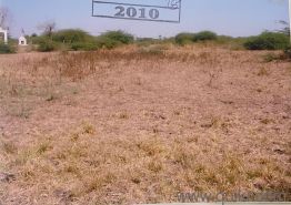630 Sq. ft Plot for Sale in Narthan, Surat