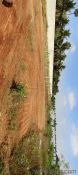 1875 Sq. ft Plot for Sale in Ganapathipalayam, Tirupur