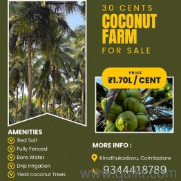 6380 Sq. ft Plot for Sale in Kinathukadavu, Coimbatore