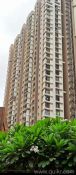 1 BHK 600 Sq. ft Apartment for Sale in Thane West, Thane