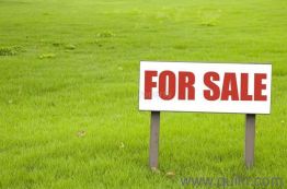 1200 Sq. ft Plot for Sale in Jayanagar 4th Block, Bangalore