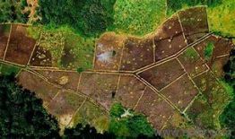 1000 Sq. ft Plot for Sale in Bagodara, Ahmedabad