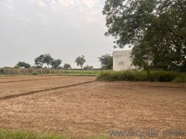 5000 Sq. ft Plot for Sale in Noida-Greater Noida Expressway, Noida