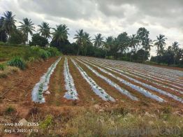 10890 Sq. ft Land for Sale in Whitefield, Bangalore