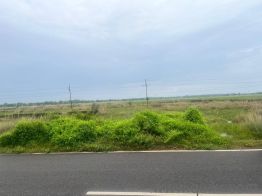 182952 Sq. ft Land for Sale in Jatni Road, Bhubaneswar