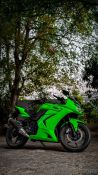 Used Kawasaki Ninja 300 2013 Model Images