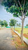 1200 Sq. ft Plot for Sale in Devanahalli, Bangalore