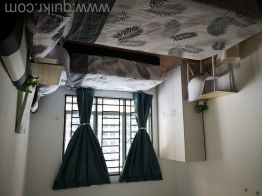 2 BHK PG Apartment for Women  in Sector 29 Vashi, NaviMumbai