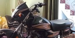 Used Honda CB Shine SP 2024 Model Images