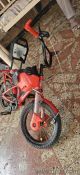 well maintained bicycle. 