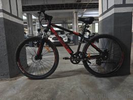 Emotorad T-Rex plus 29T 
