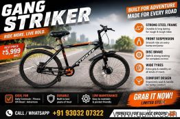 Gang Striker Bicycle - Single Speed | Disc Brakes & Front Suspension C