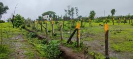 4475 Sq. ft Plot for Sale in Murbad Karjat Road, Mumbai