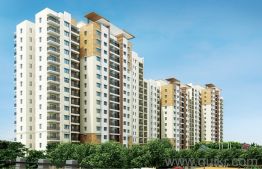 2 BHK rent Apartment in Old Madras Road, Bangalore