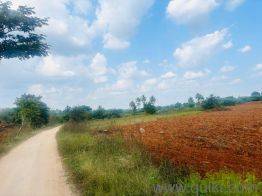 43560 Sq. ft Plot for Sale in Chikkaballapur Gauribidanur Road, Bangalore
