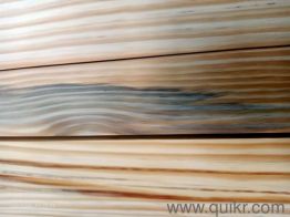 4+ BHK 3200 Sq. ft Apartment for rent in Majhola, Moradabad