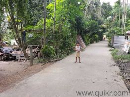 5600 Sq. ft Plot for Sale in Nadia, Kolkata