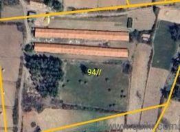 25000 Sq. ft Complex for rent in Krishnarajanagara, Mysore