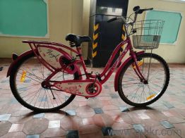 Good unsued ladybird cycle