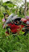 Used TVS Apache RR310 2018 Model Images