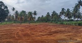 54450 Sq. ft Plot for Sale in Harohalli-Kanakapura Road, Bangalore