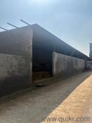 2600 Sq. ft Complex for rent in Sector 73, Noida
