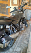Used Bajaj Pulsar 150 2019 Model Images