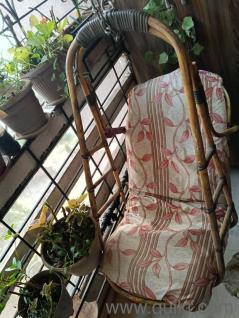 Home and Lifestyle