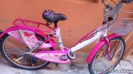 leader cycle lady bird