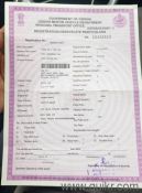 Used Kia Sonet 2021 Model Images
