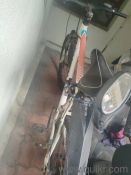 schnell cycle