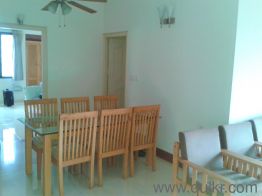 3 BHK rent Apartment in Panampilly Nagar, Kochi