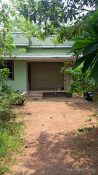 3 BHK 1000 Sq. ft Apartment for rent in Palazhi, Kozhikode
