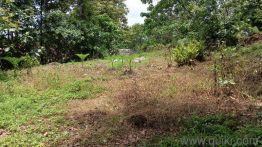 7840 Sq. ft Plot for Sale in Odakkali, Kochi