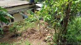 7840 Sq. ft Plot for Sale in Odakkali, Kochi