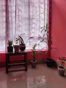 2 BHK rent Apartment in Christian Basti, Guwahati