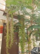 2 BHK 400 Sq. ft Apartment for Sale in Sitapur, Hardwar