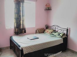 1 BHK 560 Sq. ft Apartment for Sale in Samrat Nagar, Kolhapur