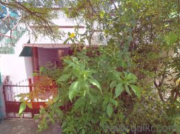 2 BHK rent Villa in Tirupur Kangayam Road, Tirupur