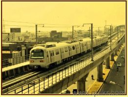 900 Sq. ft Plot for Sale in Sector 142, Noida