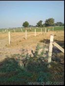 31328 Sq. ft Plot for Sale in Sanand, Ahmedabad