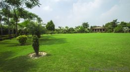 2 BHK 9072 Sq. ft FarmHouse for Sale in Pari Chowk, GreaterNoida