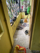 2 BHK 700 Sq. ft Apartment for rent in Vadavalli, Coimbatore
