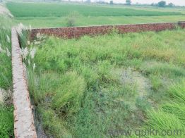 5673 Sq. ft Shop for rent in Pindra, Varanasi