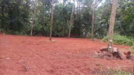 4400 Sq. ft Plot for Sale in Edappal, Malappuram