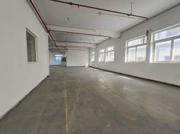 25000 Sq. ft Office for rent in Sector 81, Noida